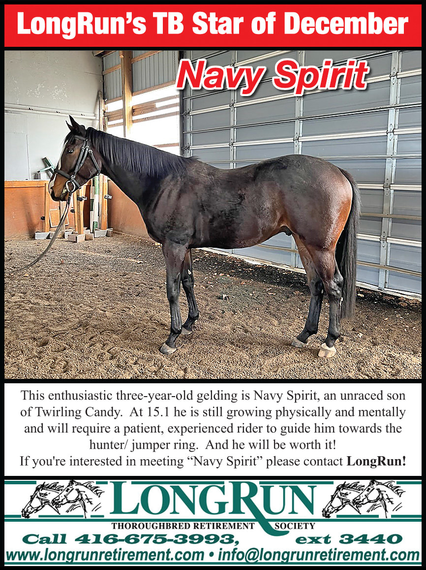 Longrun Thoroughbred Star of the Month