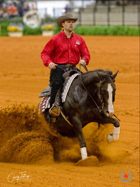 austin seelhof reining worlds
