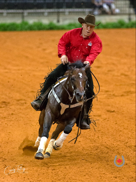 Dean Brown reining fei worlds