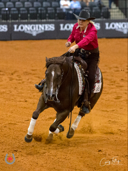 lisa coulter reining fei worlds