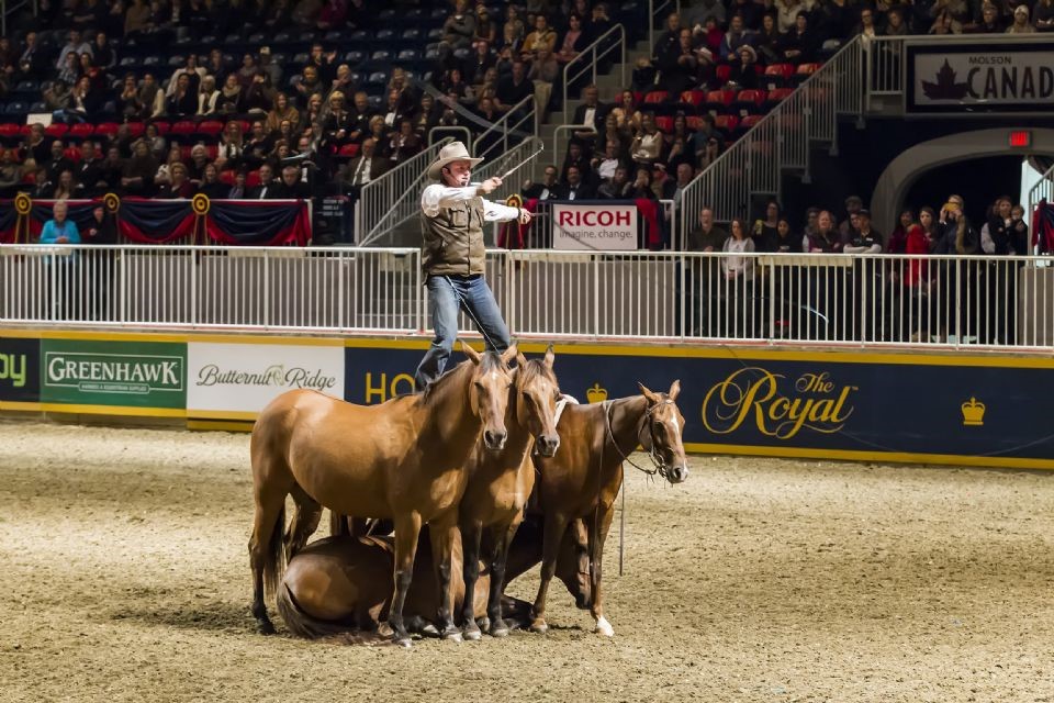 Australia's Guy Mclean natural horsemanship