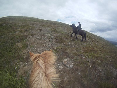 on the trail