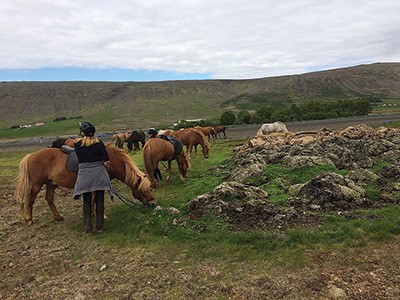 I would ride over rocks like this, with horses like these, any day.  Or night! The sun didn’t even go down.