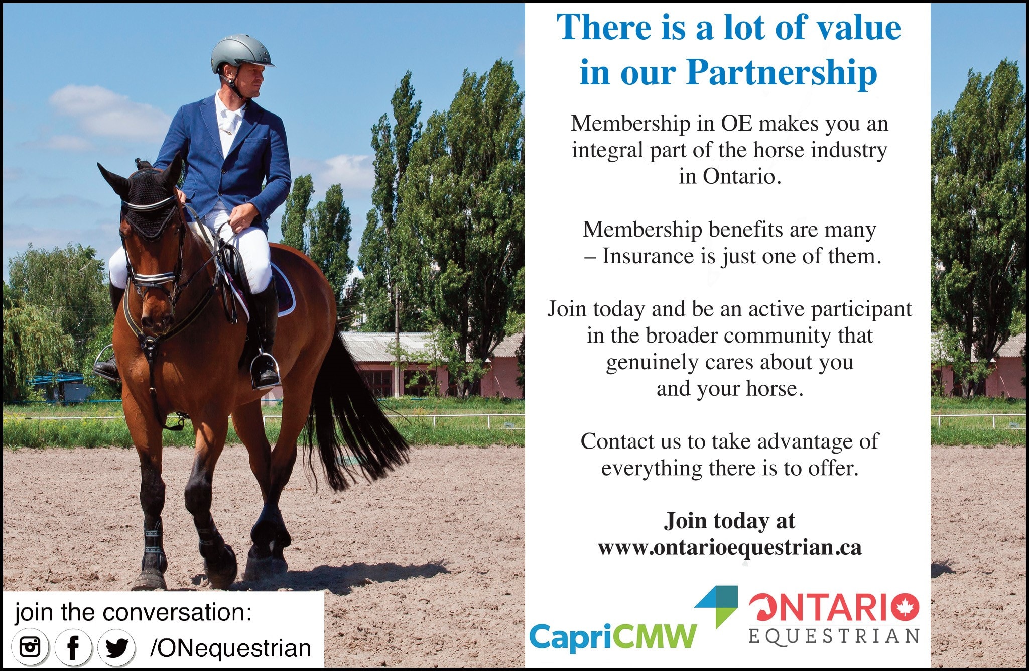CapriCMW Insurance Services