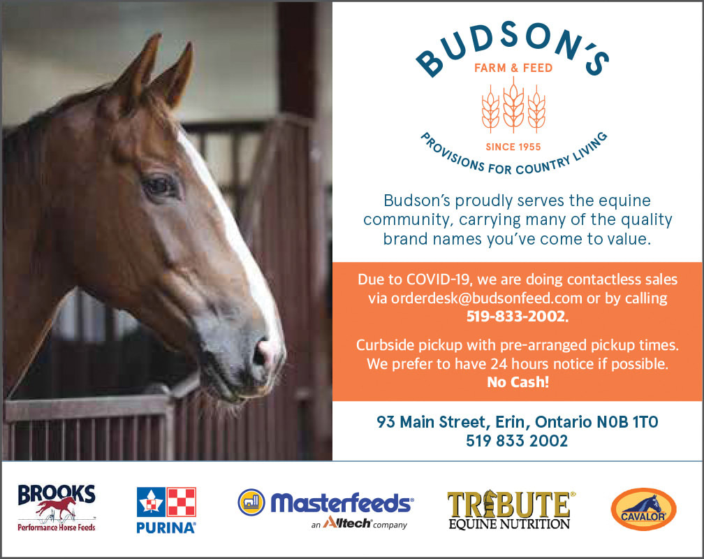 Budson's Feeds
