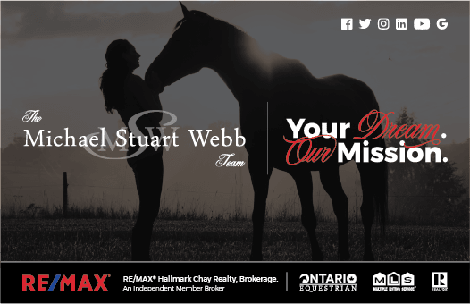 Michael Stewart-Webb