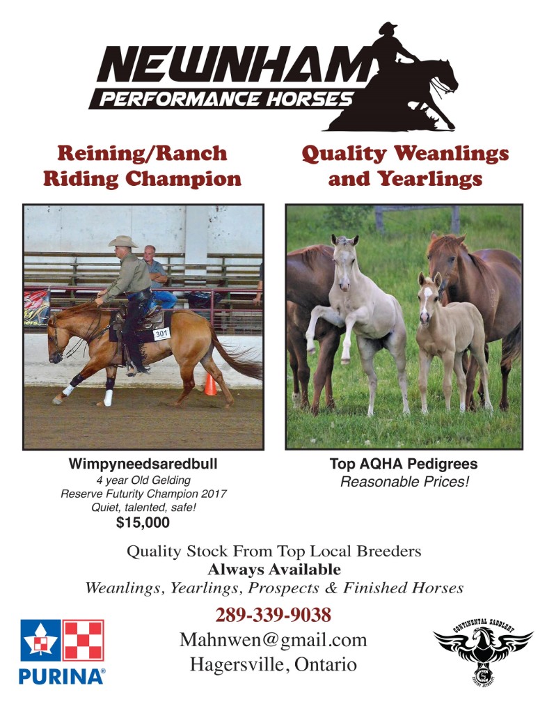Nenham Performance Horses
