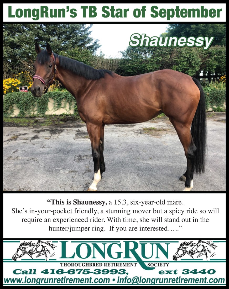 Longrun Thoroughbred Star of the Month