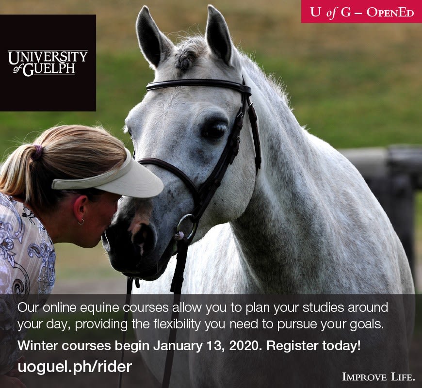 University of Guelph Equine Certificate and Diploma Programs