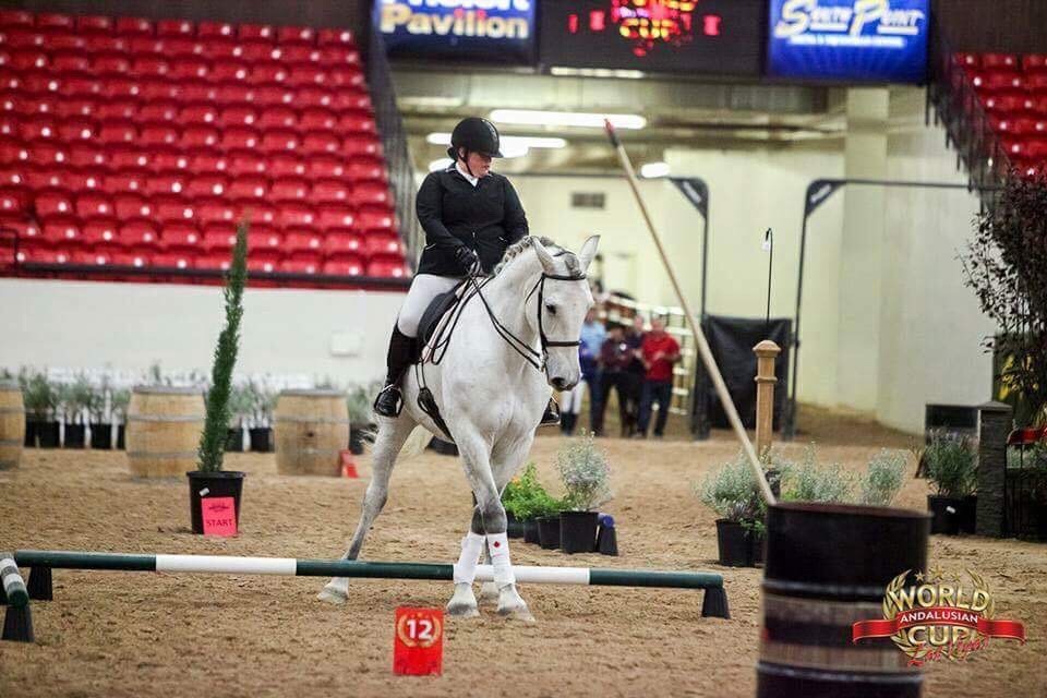 working equitation competition