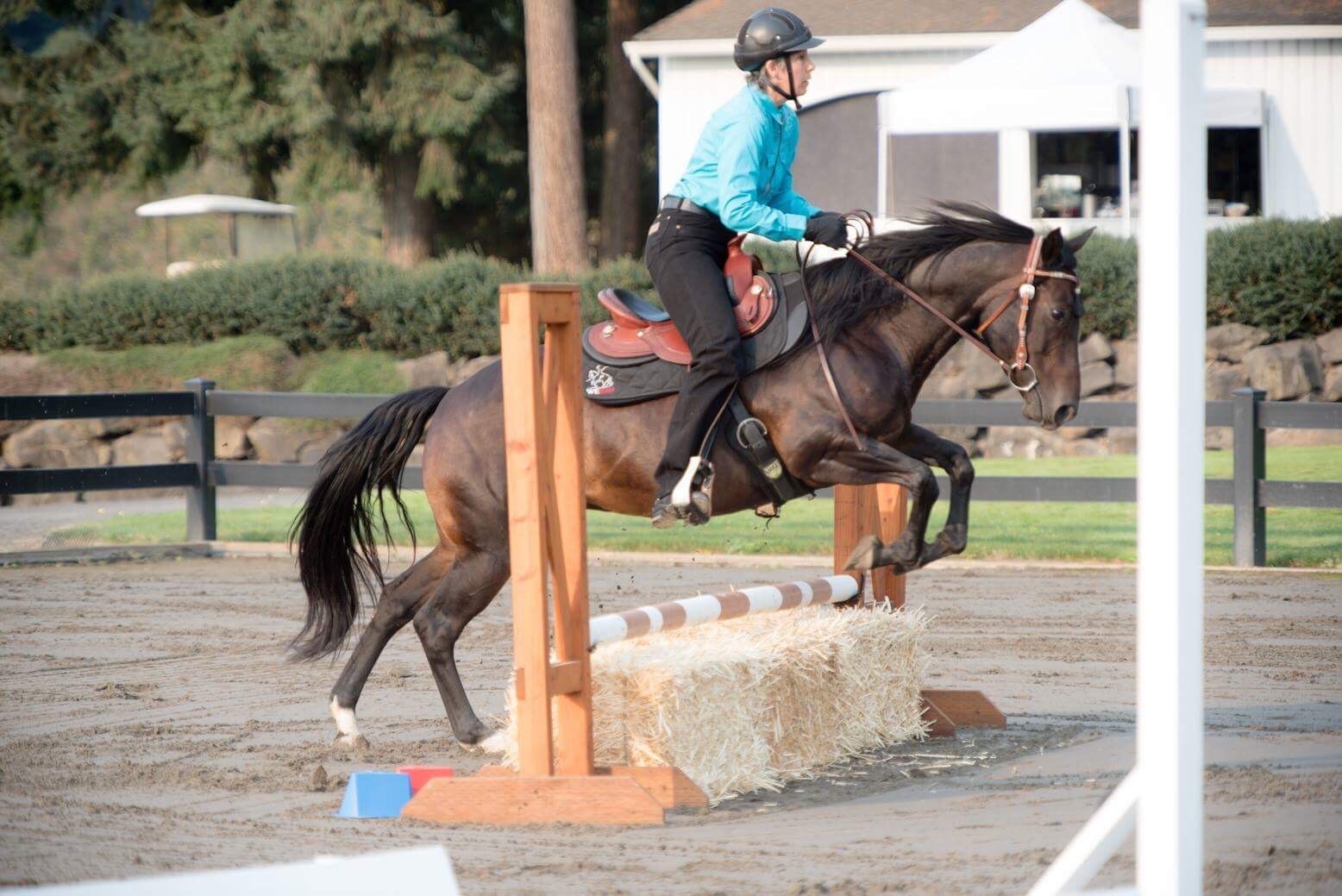 working equitation western